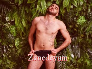 Zanedeyum